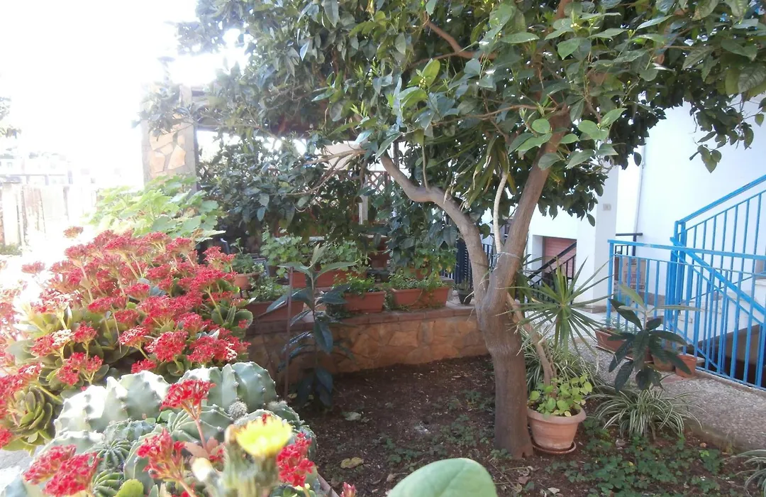 Busalacchi B&B-1